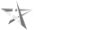 PLAYSTAR